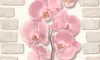 Обои виниловые Палитра Орхидея коф.-розов. цветок 0,5310м (12)10107-25^^