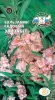 Бальзамин Элизабет (садовый, лососево-розовый) (Евро, 0,2; 9257) СеДеК