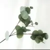 Цветок искусственный  Пучок эвкалипта  серебранный доллар (5 веток) 80см