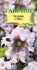 Петуния Альба крупноцветковая 10шт ГШцветы