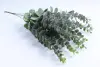 Цветок искусственный  Пучок эвкалипта зеленый40см