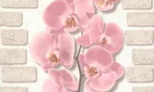 Обои виниловые Палитра Орхидея коф.-розов. цветок 0,5310м (12)10107-25^^