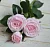 Цветок искусственный  Роза пионовидная розовая 78 см.