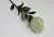 Цветок искусственный Леукоспермум белый  58 см.